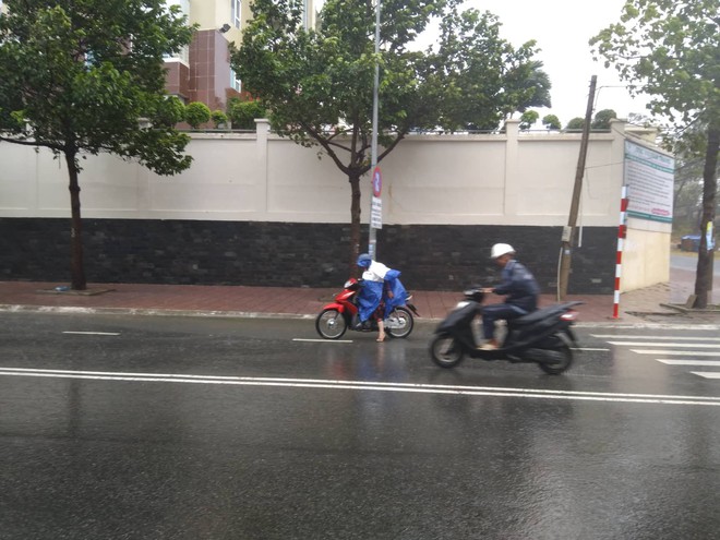 Diễn biến bão số 9: Sài Gòn mưa trắng trời khiến cây xanh ngã đổ, Vũng Tàu vẫn đang oằn mình chống bão - Ảnh 13.