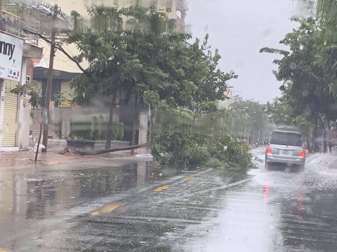 Bão số 9 đang suy yếu thành áp thấp nhiệt đới sau khi càn quét Vũng Tàu, Sài Gòn đang có mưa lớn và gió mạnh  - Ảnh 1.