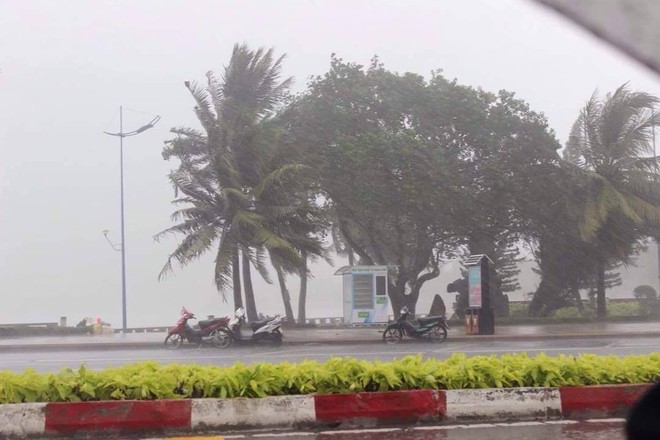 Diễn biến bão số 9: Sài Gòn mưa trắng trời khiến cây xanh ngã đổ, Vũng Tàu vẫn đang oằn mình chống bão - Ảnh 12.