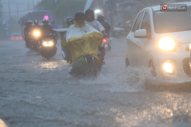 Diễn biến bão số 9: Sài Gòn mưa trắng trời khiến cây xanh ngã đổ, Vũng Tàu vẫn đang oằn mình chống bão - Ảnh 2.