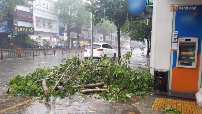 Diễn biến bão số 9: Sài Gòn mưa trắng trời khiến cây xanh ngã đổ, Vũng Tàu vẫn đang oằn mình chống bão - Ảnh 8.