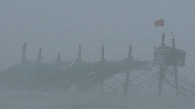Bão đã vào Bà Rịa - Vũng Tàu, mưa rất to, cây ngã đổ, tàu chìm - Ảnh 2.