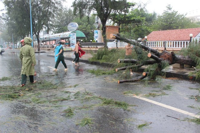 Bão đã vào Bà Rịa - Vũng Tàu, mưa rất to, cây ngã đổ, tàu chìm - Ảnh 11.