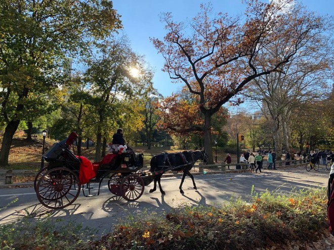 Khám phá khả năng chụp ảnh ấn tượng của iPhone XS Max vào một ngày thu ở Central Park - Ảnh 8.