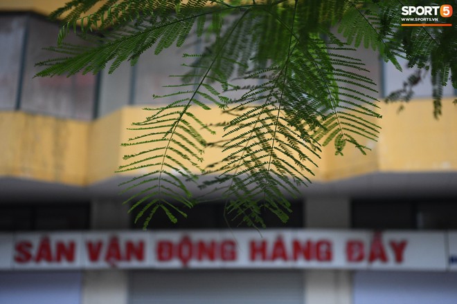 Một lời ch&agrave;o tạm biệt, một lời cảm ơn th&acirc;n thương gửi tới H&agrave;ng Đẫy - Ảnh 18.
