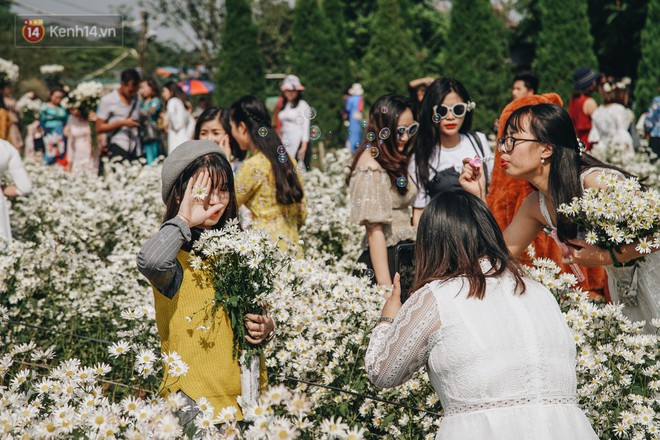 Vườn cúc họa mi ở Hà Nội tiếp tục thất thủ: Đường vào tắc nghẽn, chụp một bức ảnh phải né bao nhiêu người - Ảnh 12.