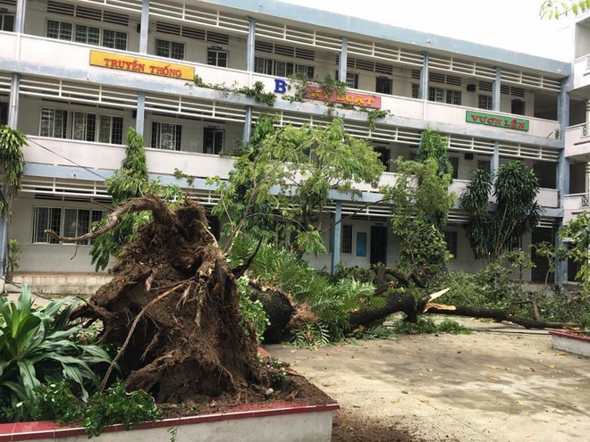 Trường ngập, cây bật gốc, cột điện ngã ngổn ngang, 2 ngôi trường tại TPHCM cho học sinh nghỉ học đến hết ngày 27/11 - Ảnh 3.