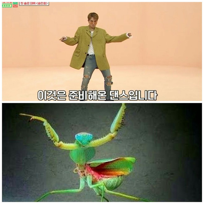 Mino (WINNER) nhảy cover Ddu-Du Ddu-Du như bọ gậy, dẹo c&ograve;n hơn cả 4 c&ocirc; em Black Pink - Ảnh 6.