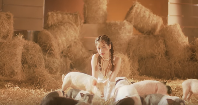 Đề văn: Ph&acirc;n t&iacute;ch h&igrave;nh ảnh gia s&uacute;c gia cầm, đặc biệt l&agrave; lo&agrave;i lợn trong MV Mời anh v&agrave;o Team em của Chi Pu - Ảnh 2.