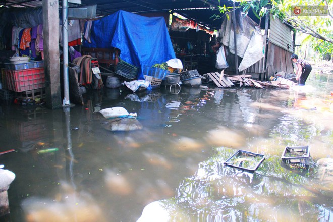 Nước bẩn ngập nhà sau bão Usagi ở Sài Gòn đến nay vẫn không rút, cụ bà 4 ngày chưa thể ra khỏi giường - Ảnh 14.