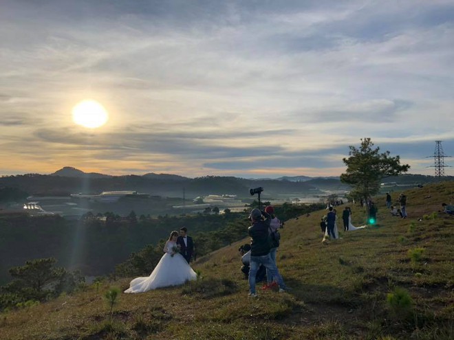 Khoảnh khắc khiến bạn nhận ra mùa cưới đã đến: 100 mét đất có 1 nghìn dâu rể trên đồi cỏ hồng Đà Lạt - Ảnh 4.