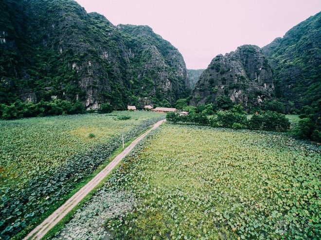 Hãy 1 Lần Đến Tràng An Để Hiểu Rằng “Đẹp Như Phim” Là Hoàn Toàn Có Thật!