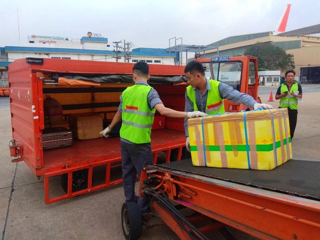 Sa thải 2 nh&acirc;n vi&ecirc;n bốc xếp n&eacute;m h&agrave;nh l&yacute; của kh&aacute;ch như n&eacute;m gạch ở s&acirc;n bay T&acirc;n Sơn Nhất - Ảnh 2.