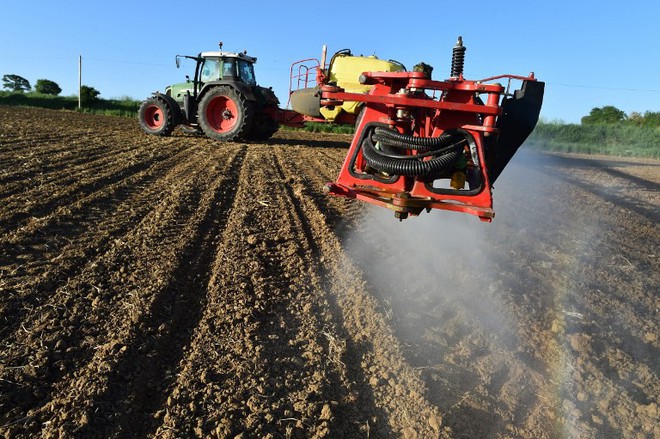 Hàng chục nông dân bị ngộ độc, Pháp cấm vĩnh viễn thuốc trừ sâu chứa metam sodium - Ảnh 1.