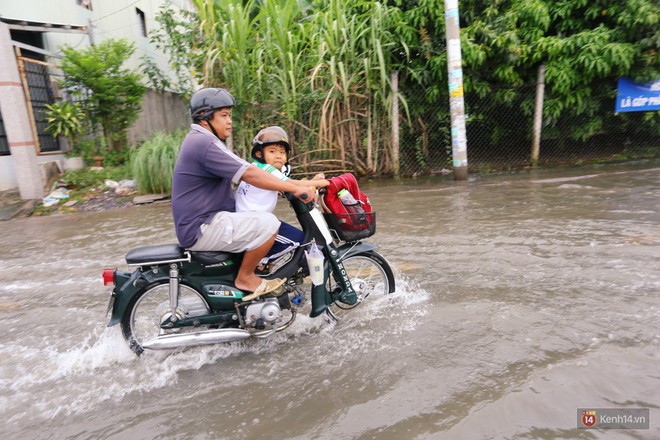 Triều cường dâng cao ở Sài Gòn, cha mẹ khổ sở đẩy xe lội nước đưa con đi học về - Ảnh 4.