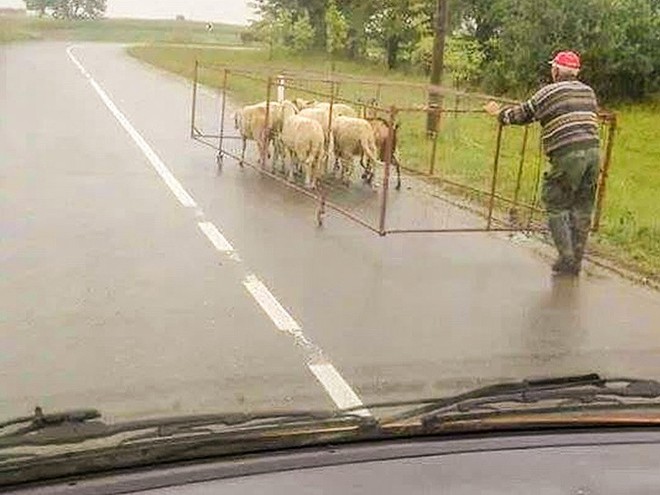 Khi đàn ông gỡ rối tình huống nan giải: Không có bá đạo nhất, chỉ có bá đạo hơn - Ảnh 20.