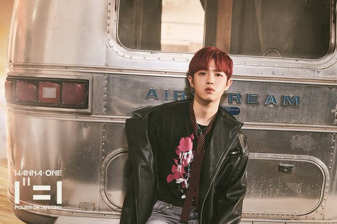 Mới chỉ tung ảnh teaser, WANNA ONE đ&atilde; khiến fan lụi tim v&igrave; vẻ đẹp như bước ra từ truyện tranh - Ảnh 5.