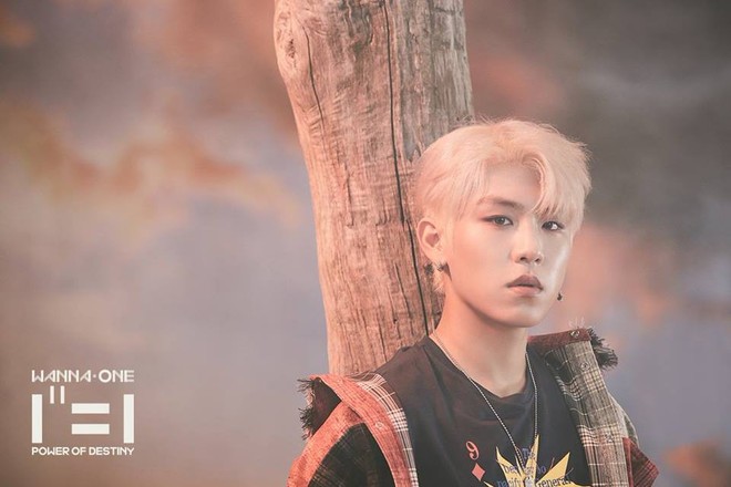 Mới chỉ tung ảnh teaser, WANNA ONE đ&atilde; khiến fan lụi tim v&igrave; vẻ đẹp như bước ra từ truyện tranh - Ảnh 3.