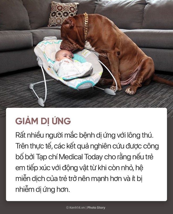 Nuôi cún cưng không chỉ giúp bạn vui vẻ mà còn chống lại rất nhiều bệnh tật - Ảnh 5.