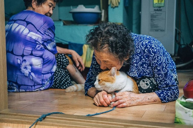 Bộ ảnh đầy xúc cảm của cụ bà Hàn Quốc: Tuổi già chẳng cần gì cả, chỉ cần một chú mèo cùng bầu bạn mà thôi - Ảnh 9.