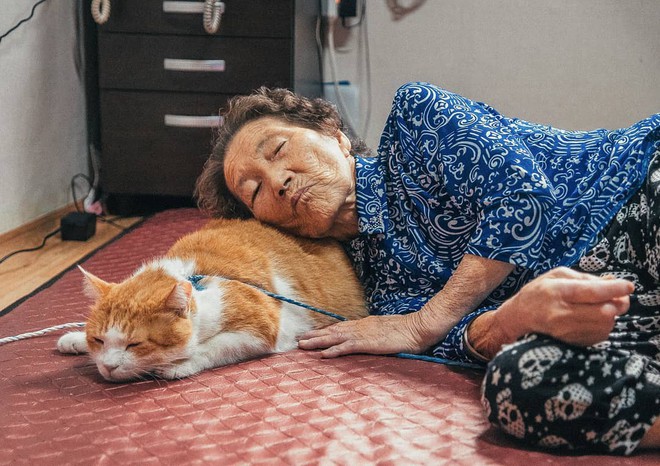 Bộ ảnh đầy xúc cảm của cụ bà Hàn Quốc: Tuổi già chẳng cần gì cả, chỉ cần một chú mèo cùng bầu bạn mà thôi - Ảnh 8.