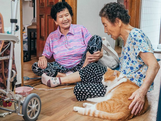 Bộ ảnh đầy xúc cảm của cụ bà Hàn Quốc: Tuổi già chẳng cần gì cả, chỉ cần một chú mèo cùng bầu bạn mà thôi - Ảnh 6.