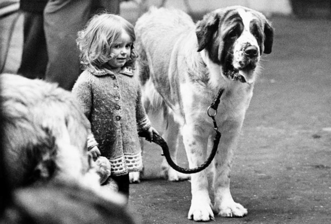 Những bức ảnh đen trắng hiếm có về Dog Show ở Anh giữa thế kỷ 20 - Ảnh 1.