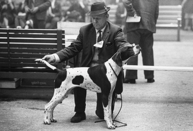 Những bức ảnh đen trắng hiếm c&oacute; về Dog Show ở Anh giữa thế kỷ 20 - Ảnh 7.