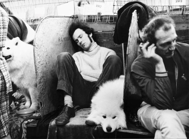 Những bức ảnh đen trắng hiếm c&oacute; về Dog Show ở Anh giữa thế kỷ 20 - Ảnh 10.