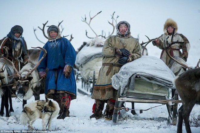 Những khoảnh khắc đời thường của Nenets: Bộ lạc du mục chuyên ăn thịt sống, uống máu tuần lộc - Ảnh 1.