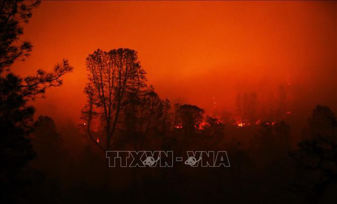 Số người bị coi mất tích do cháy rừng tại California giảm từ 1.200 xuống còn 3 - Ảnh 1.