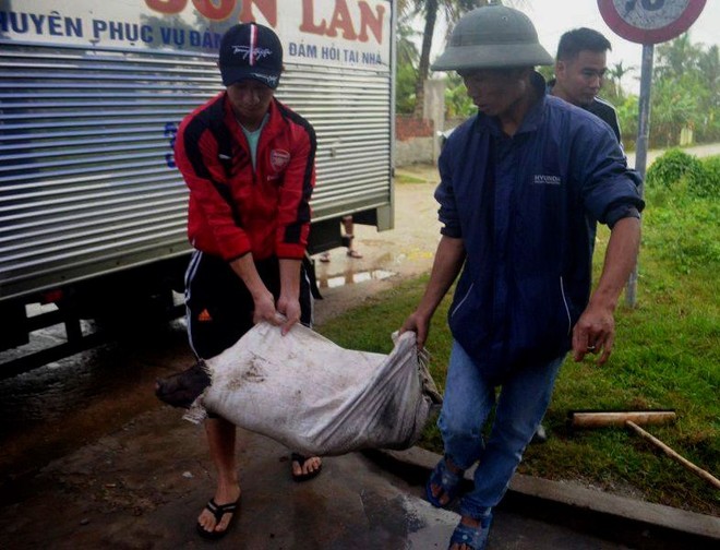 Gia đình cầu thủ Phan Văn Đức dựng rạp, mổ lợn thết đãi người hâm mộ đến xem trận chung kết AFF Cup 2018 - Ảnh 2.