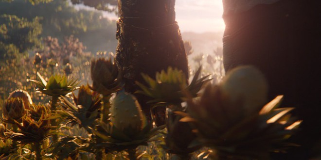 6 chi tiết chưa được hé lộ trong trailer của “Avengers: Endgame” - Ảnh 6.