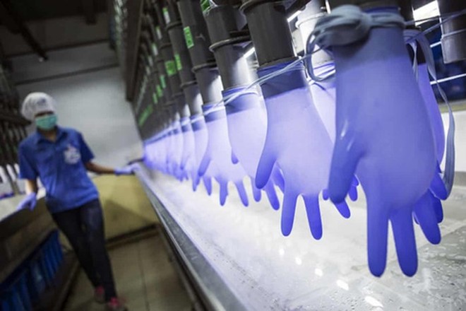 Gã khổng lồ sản xuất găng tay ở Malaysia bị cáo buộc sử dụng lao động cưỡng bức - Ảnh 1.
