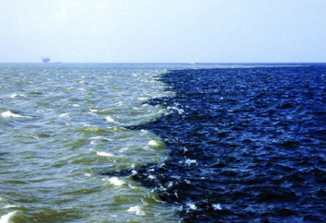 Các vùng nước chết khiến đại dương mắc nghẹn giờ cũng xuất hiện ngay gần con người - Ảnh 1.