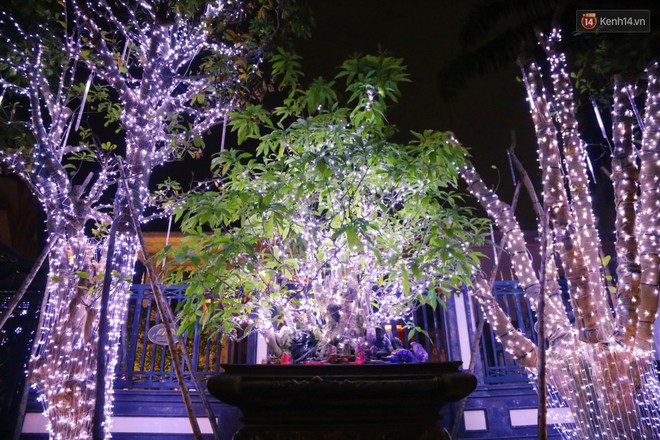 Những biệt thự triệu đô ở phố nhà giàu Sài Gòn được trang hoàng lộng lẫy như &quot;cung điện&quot; để đón Noel - Ảnh 13.
