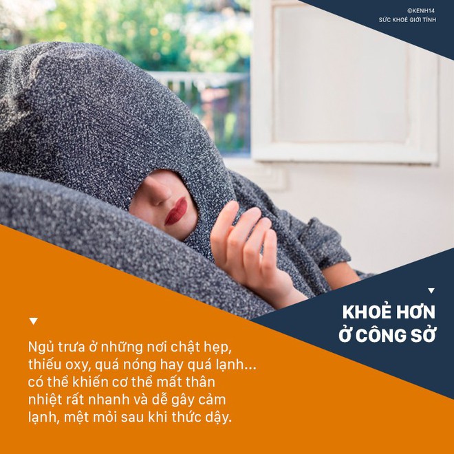 4 sai lầm khi ngủ trưa khiến sức khỏe dân văn phòng bị ảnh hưởng nghiêm trọng - Ảnh 5.