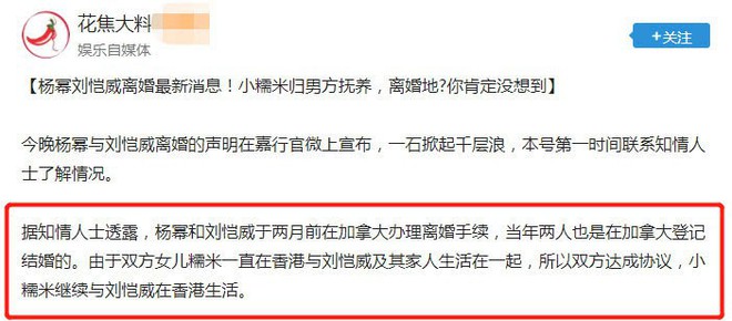 Tiết lộ lý do vì sao Dương Mịch - Lưu Khải Uy công khai ly hôn vào ngày 22/12 - Ảnh 2.