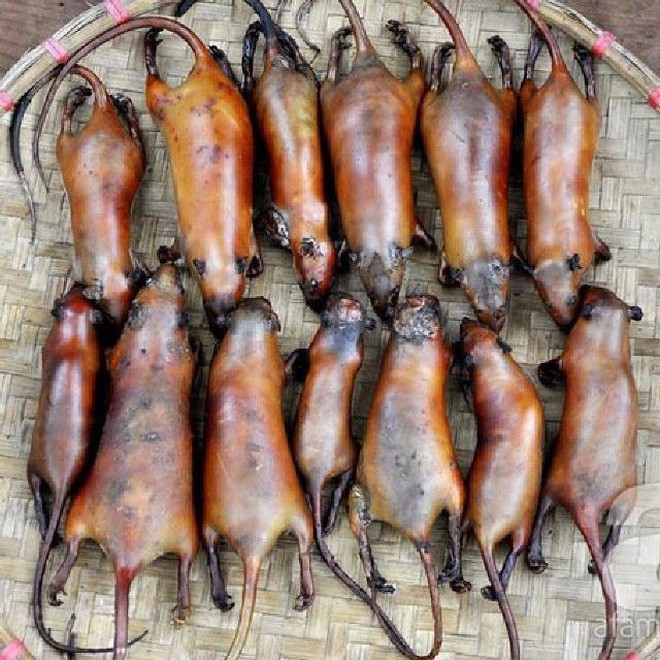 Hà Giang có một món đặc sản thật sự khiến nhiều người... khóc thét - Ảnh 1. Hà Giang có một món đặc sản thật sự khiến nhiều người... khóc thét - Ảnh 1.