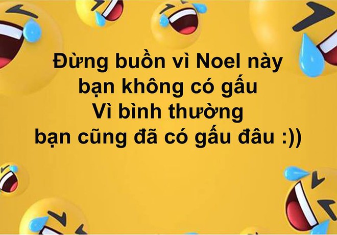 Phũ nhưng thật: Đừng buồn vì Noel không có gấu bởi bình thường bạn cũng có gấu đâu! - Ảnh 1.