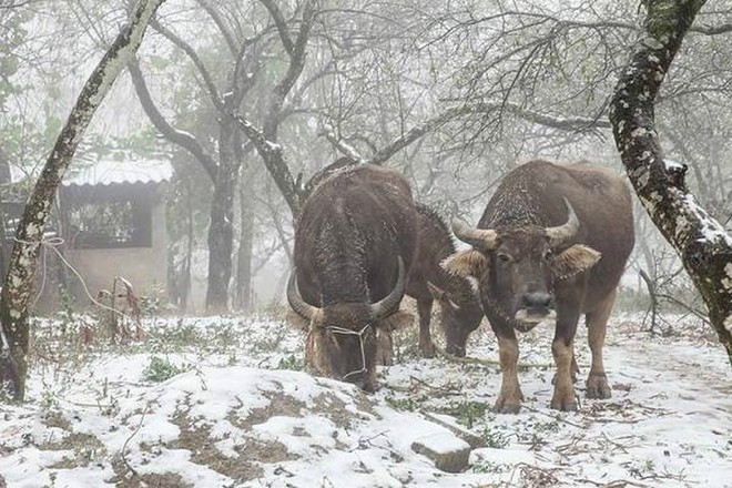 Năm 2019, thời tiết các vùng trên cả nước sẽ ra sao? - Ảnh 1.