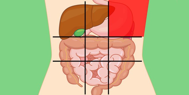 Xác định được ngay cơ thể đang gặp vấn đề gì qua từng vị trí khi đau bụng - Ảnh 5.
