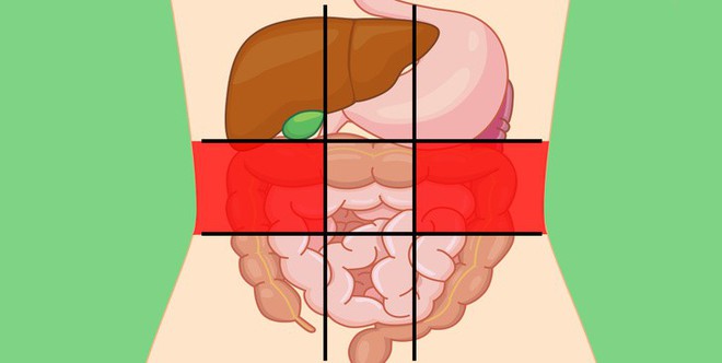 Xác định được ngay cơ thể đang gặp vấn đề gì qua từng vị trí khi đau bụng - Ảnh 7.