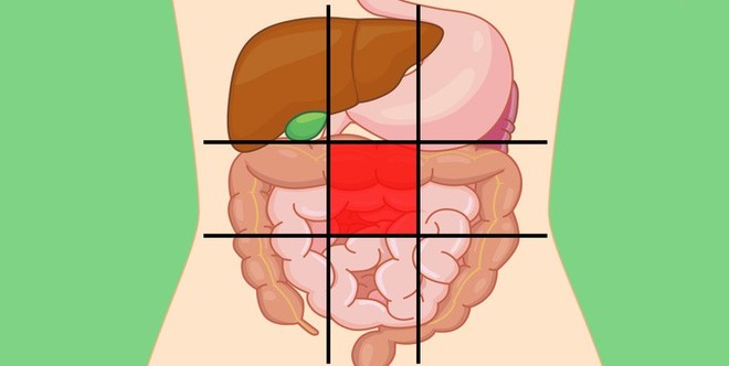 Xác định được ngay cơ thể đang gặp vấn đề gì qua từng vị trí khi đau bụng - Ảnh 9.