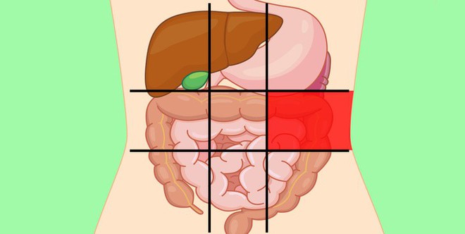 Xác định được ngay cơ thể đang gặp vấn đề gì qua từng vị trí khi đau bụng - Ảnh 11.