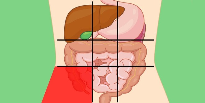 Xác định được ngay cơ thể đang gặp vấn đề gì qua từng vị trí khi đau bụng - Ảnh 13.