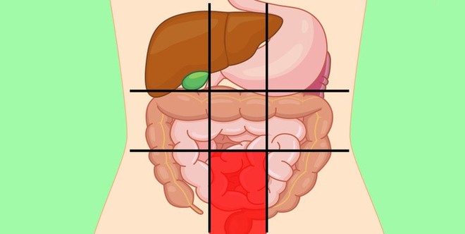 Xác định được ngay cơ thể đang gặp vấn đề gì qua từng vị trí khi đau bụng - Ảnh 15.
