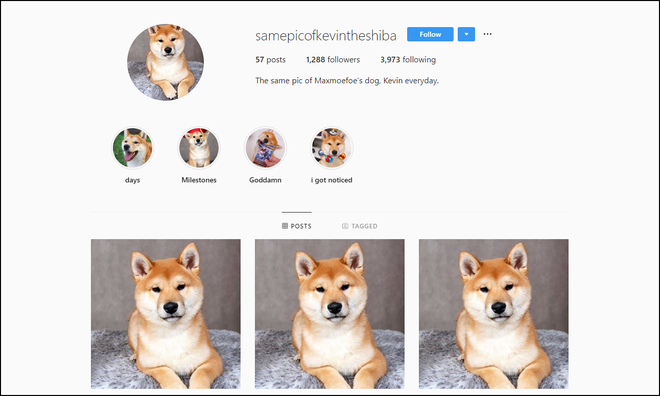 Những tài khoản Instagram dị đến phát hờn: Cả đời chỉ đăng lặp lại liên tục một ảnh y hệt nhau! - Ảnh 1.