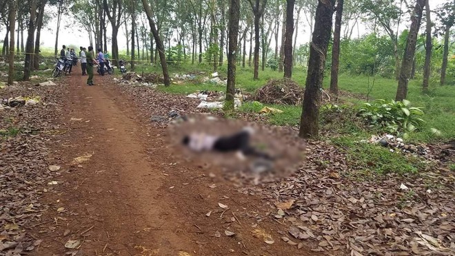 Nghi &aacute;n người đ&agrave;n &ocirc;ng b&aacute;n v&eacute; số bị s&aacute;t hại trong l&ocirc; cao su - Ảnh 1.