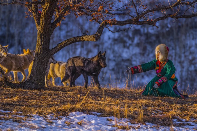 Cô gái Mông Cổ với dàn pet độc 8 con sói, 3 bạn trai đều đòi chia tay vì sợ cãi nàng sẽ bị ăn thịt - Ảnh 3.